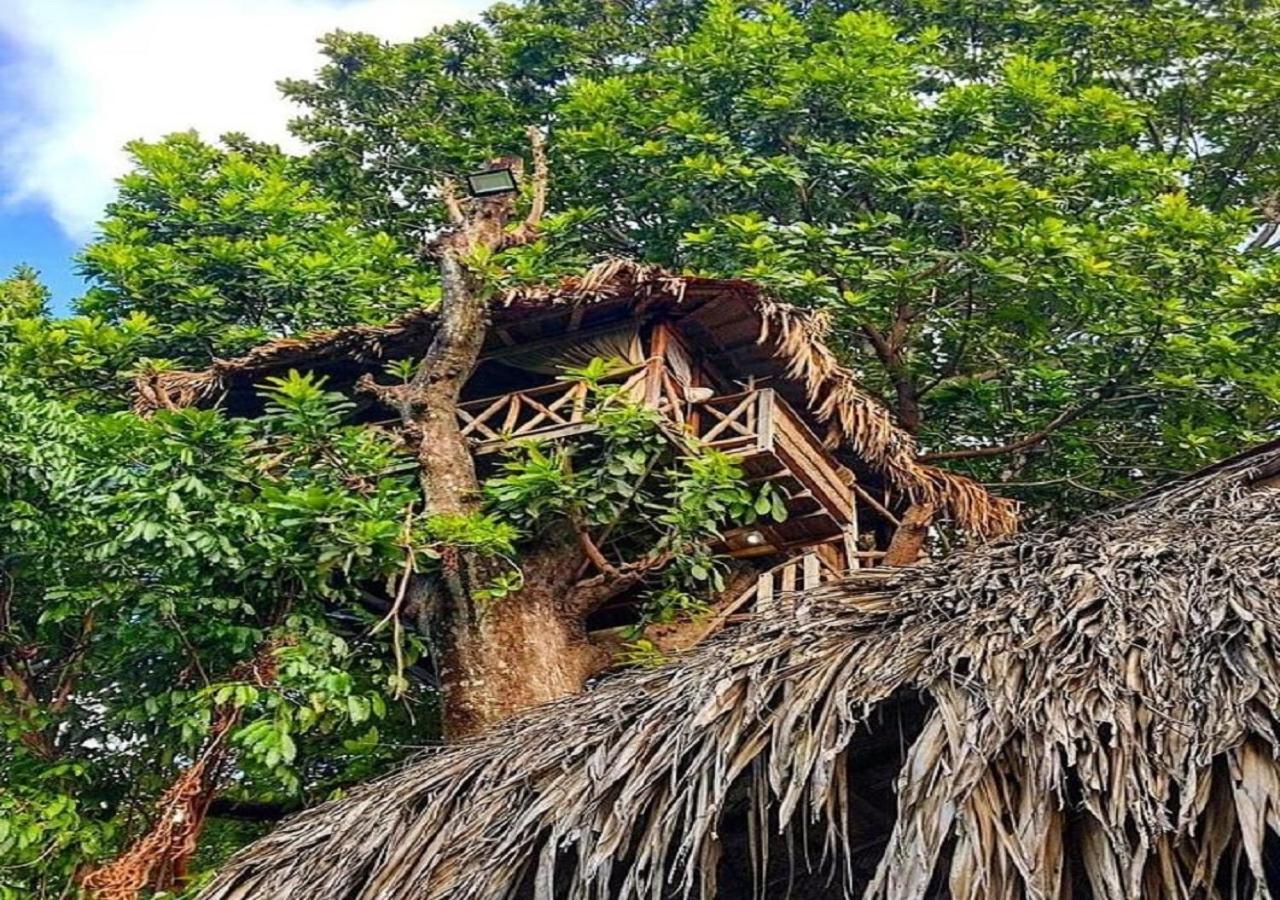 Monte Verde Hostal เอลไซโน ภายนอก รูปภาพ