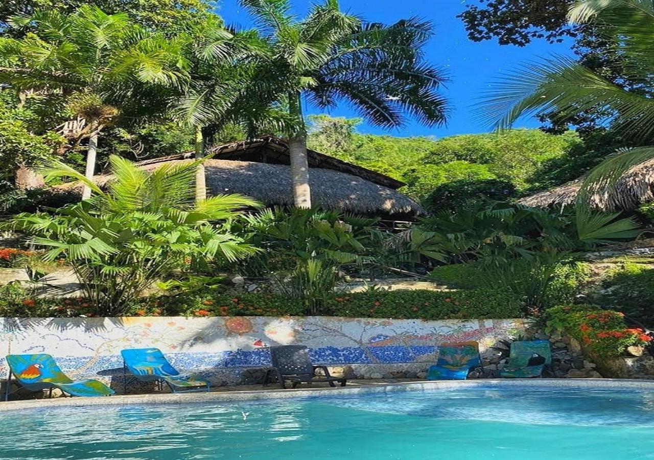 Monte Verde Hostal เอลไซโน ภายนอก รูปภาพ