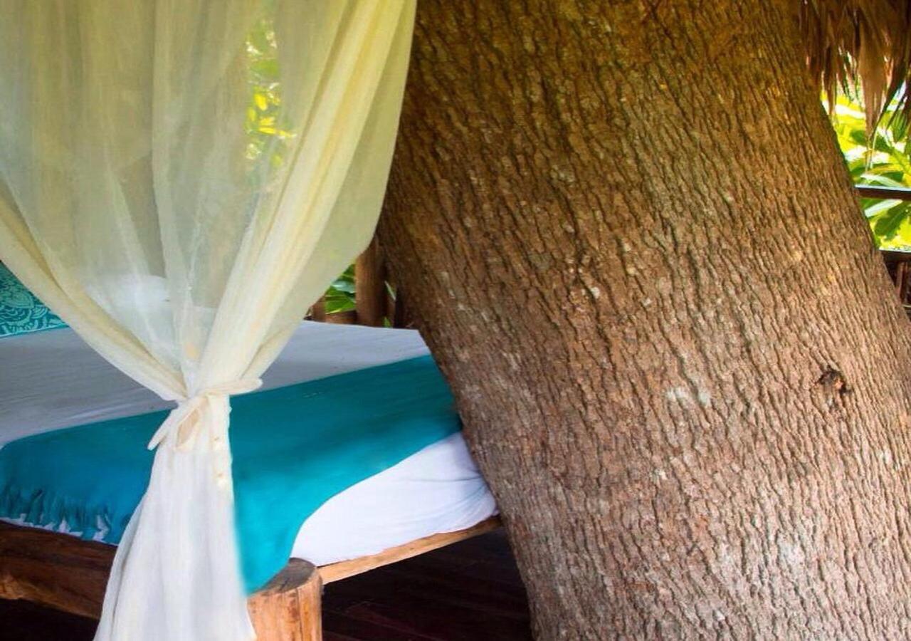 Monte Verde Hostal เอลไซโน ภายนอก รูปภาพ