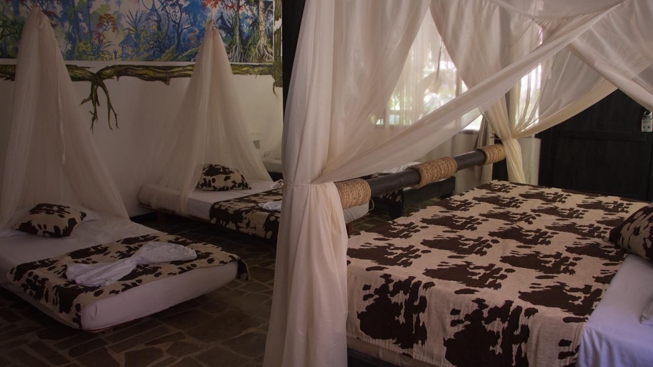 Monte Verde Hostal เอลไซโน ภายนอก รูปภาพ