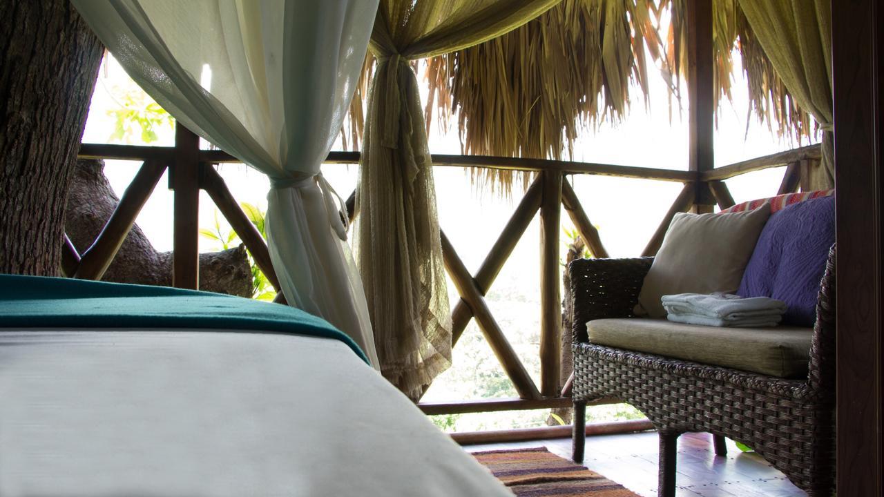 Monte Verde Hostal เอลไซโน ภายนอก รูปภาพ